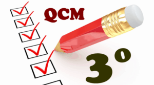 Qcm conrole de gestion