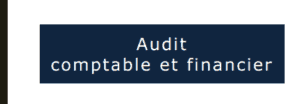 audit comptable et financier en pdf